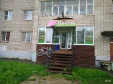 Средства защиты растений / Удобрения Магазин цветов в Ярославле
