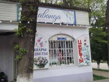 цветочный магазин Лаванда в Буйнакске