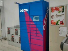автоматизированный пункт выдачи Ozon box в Ярославле