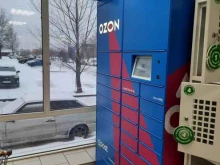 OZON Box, улица Фатыха Амирхана, 85а 