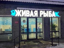 магазин Живая рыба в Оренбурге