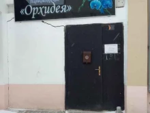 парикмахерская Орхидея в Белгороде