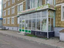 Копировальные услуги Алфавит здоровья в Красноярске