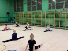 Детские / подростковые клубы Высшая школа художественной гимнастики в Санкт-Петербурге