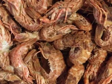 SeafoodVl, проспект 100-летия Владивостока, 140г 