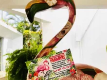турагентcтво Paradise в Стерлитамаке