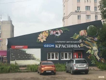 магазин цветов и декора Краснова в Владимире