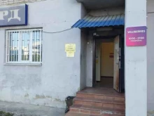 частное охранное предприятие Собр в Чехове