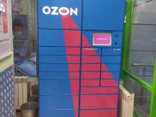 автоматизированный пункт выдачи OZON Box в Казани