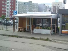 Овощи / Фрукты Киоск по продаже овощей и фруктов в Калининграде