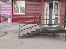 салон цветов Flora в Каменске-Уральском