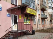 Цветы Магазин цветов в Омске