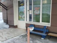 детский развивающий центр Яблонька в Красноярске