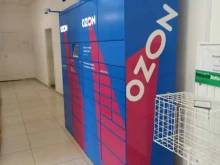 автоматизированный пункт выдачи Ozon Box в Березовском