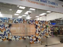 Парк бабочек Контактная выставка живых бабочек в Новосибирске