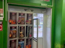 зоомаркет Белый кролик в Владивостоке
