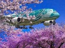 торгово-производственная компания Iron Cherry в Лосино-Петровском