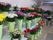 магазин Favorite flower в Подольске