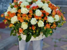 цветочный магазин Цветы даром в Ростове-на-Дону