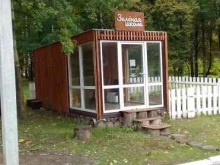 детский центр Зеленая школа в Брянске
