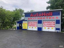 Компьютерная диагностика автомобилей AutoHall в Владивостоке