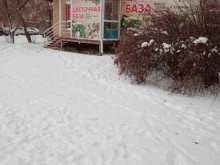 Товары для праздничного оформления / организации праздников Цветочная база в Каменске-Уральском