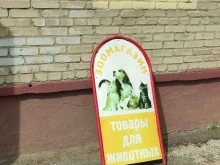 Зоотовары Зоомагазин в Воскресенске