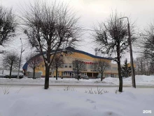 волейбольный клуб Северянка в Череповце