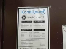 Копицентр, Арсенальная, 9 