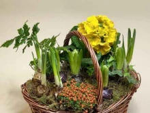 флористическая мастерская First florist в Самаре