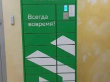 постамат СберЛогистика в Альметьевске