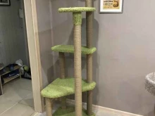 Моя котя, улица Крупской, 30Б 