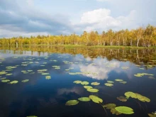 национальный парк Водлозерский в Петрозаводске