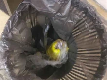 Доставка готовых блюд Шашлык машлык в Сургуте