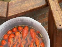 Море рыбы, Коллективная, 12 