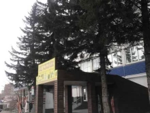 Системы безопасности и охраны Абсолют.Ворота24 в Красноярске