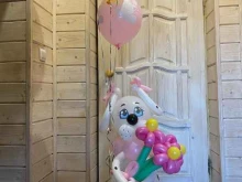 воздушная лаборатория Little Sofia в Богородске