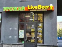 сеть магазинов разливного пива Live Beer в Кудрово