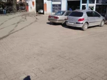 шинный центр Continental в Балтийске