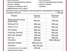 Зоотовары Zooлавка в Абакане
