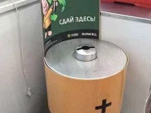 Мегаполисресурс, Панина, 9 