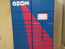 автоматизированный пункт выдачи Ozon box в Фрязино