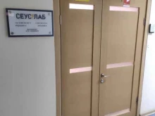 компания Seuslab в Перми
