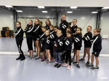Ice-skill, Яблоневая, 13 
