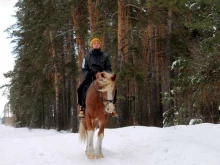 Конные клубы / Ипподромы koni_viki48 в Липецке
