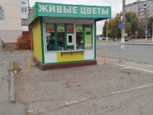 Услуги по упаковке подарков Киоск по продаже цветов в Новокуйбышевске