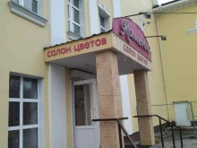 салон цветов Камелия в Ногинске