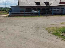 клуб верховой езды Тандем в Барнауле