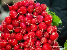 рынок Большие Исады в Астрахани