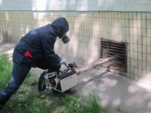 санитарная служба дезинфекции, дезинсекции, дератизации Мангуст в Иркутске